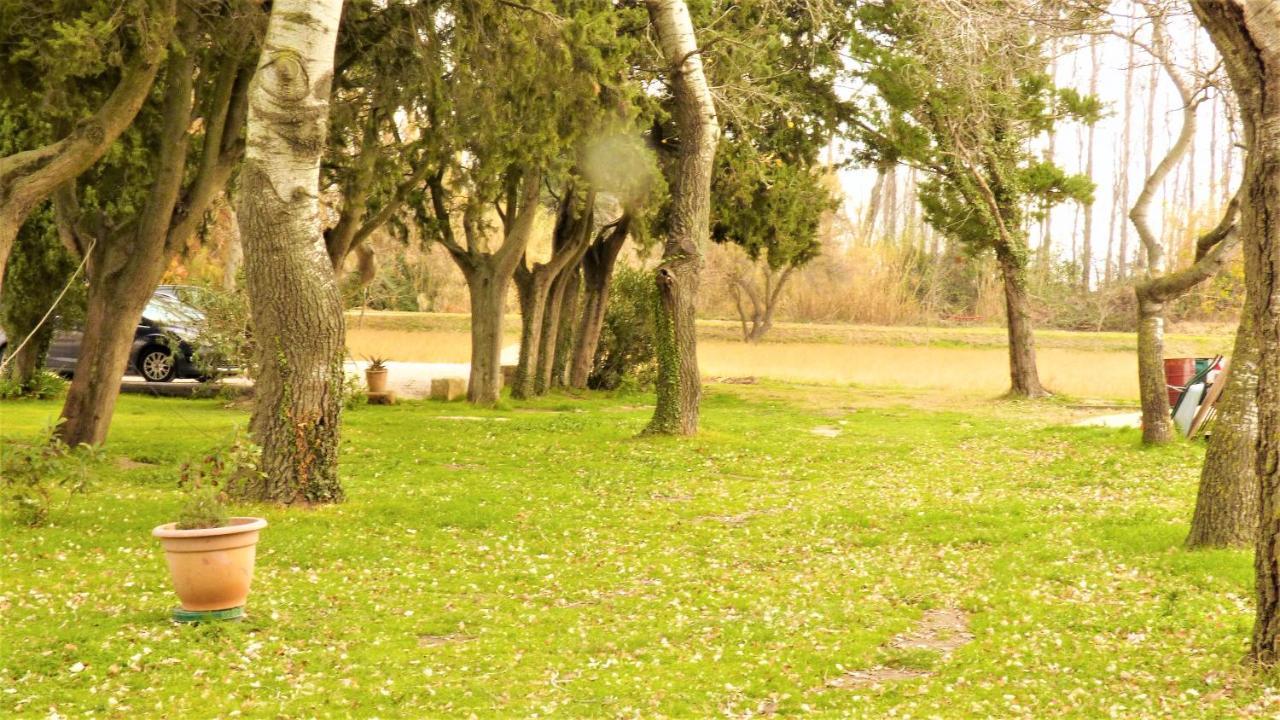 Mas Des Cypres, Clim - Jardin En Camargue Villa Arles Luaran gambar