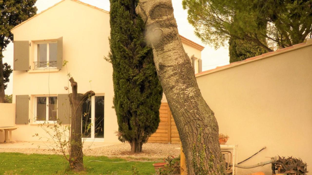 Mas Des Cypres, Clim - Jardin En Camargue Villa Arles Luaran gambar